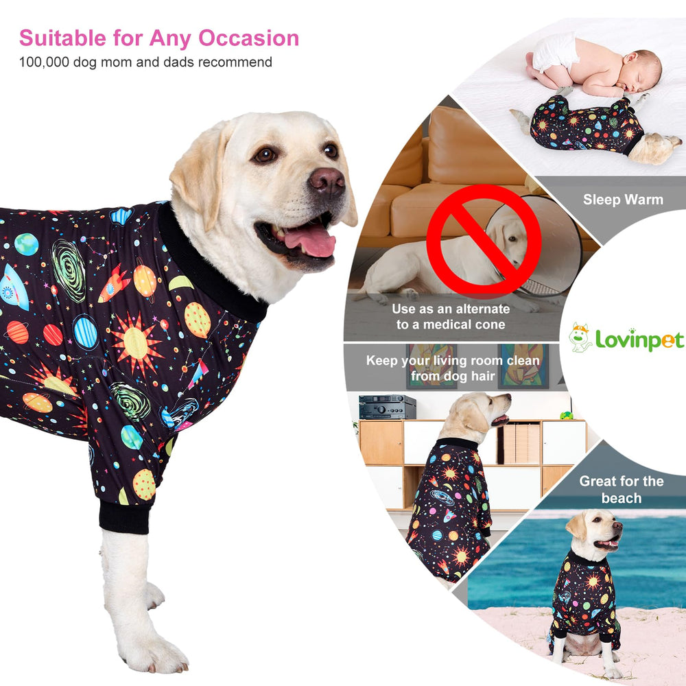 LovinPet-all-seasons-protective-suit shows versatile use indoors and outdoors.