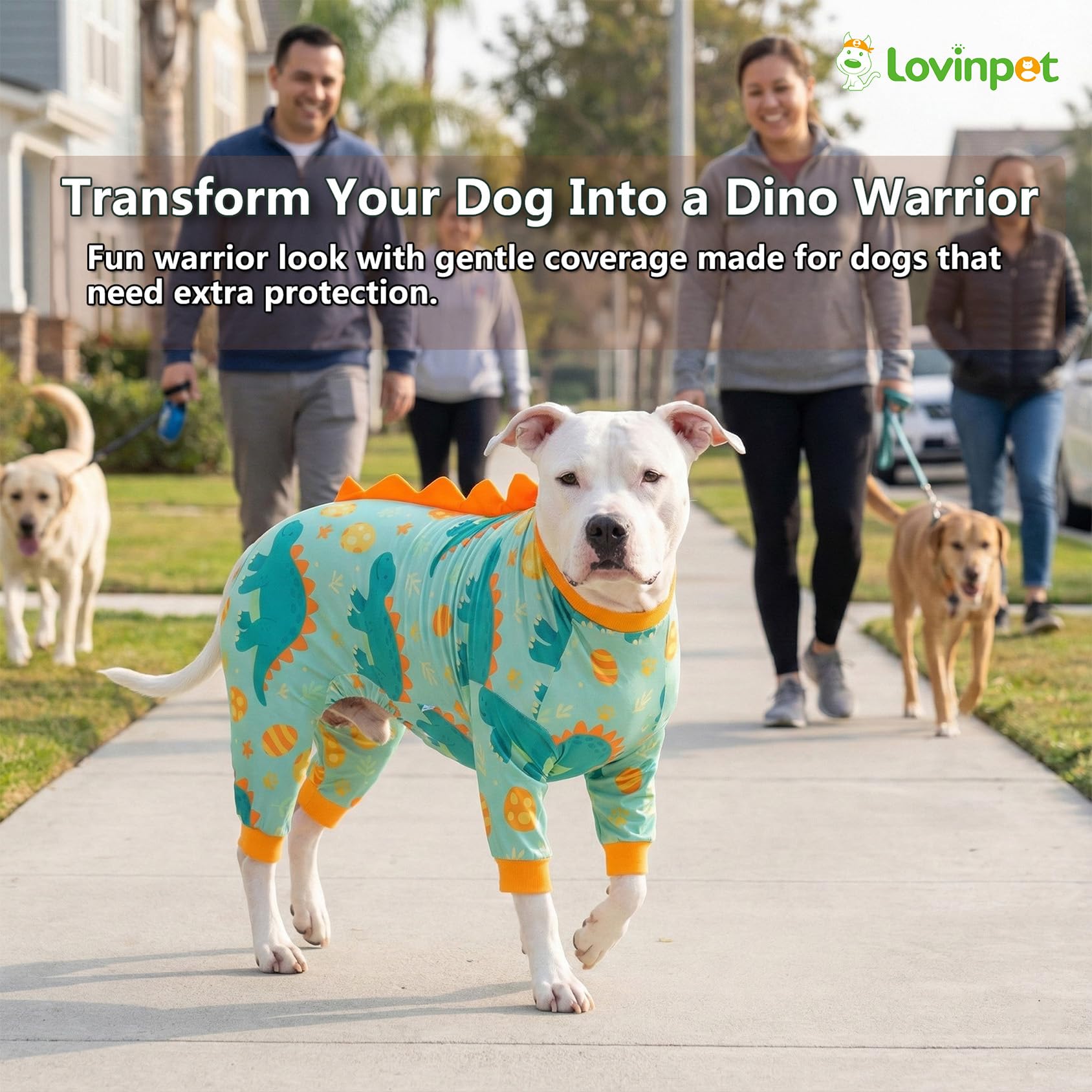 LovinPet anti-lick recovery design supports healing