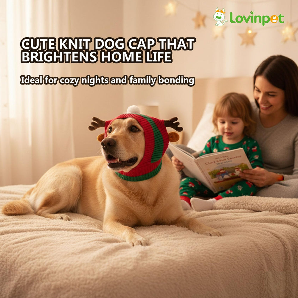 LovinPet Christmas dog hat snood stay put during walks and play