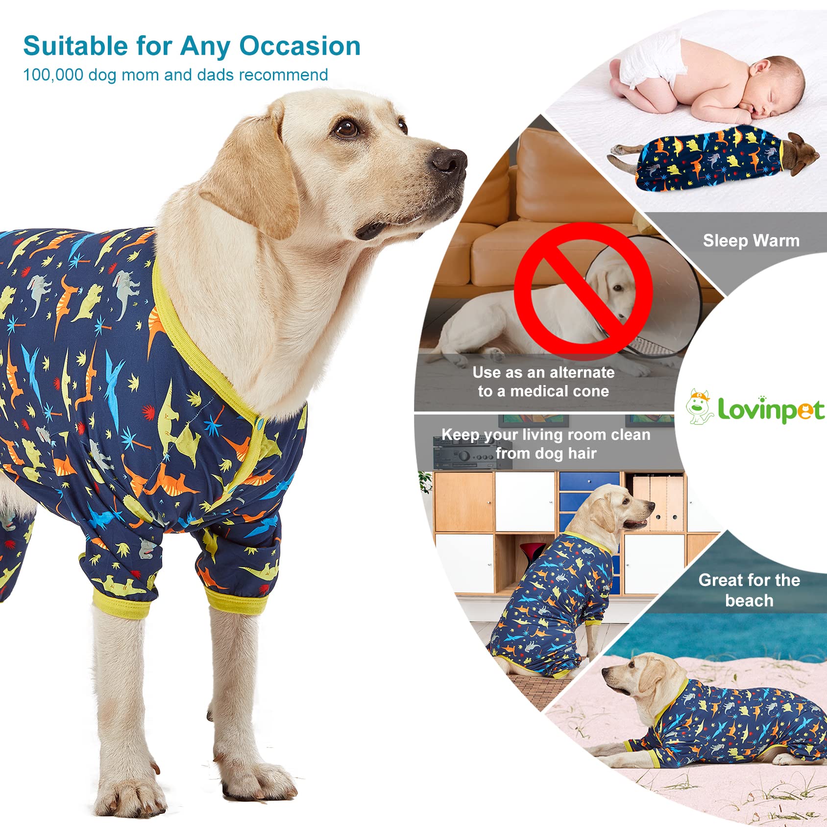 LovinPet dinosaur navy pajama worn in living room for cozy at-home comfort.