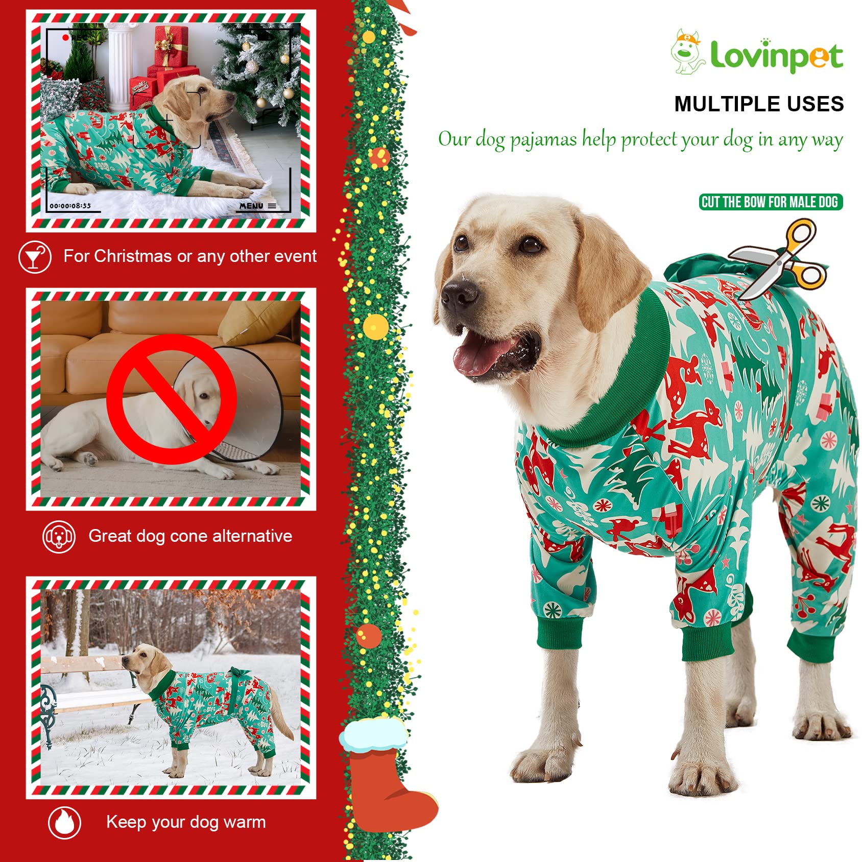 LovinPet large-dog pajamas worn by big dog in living room for warmth