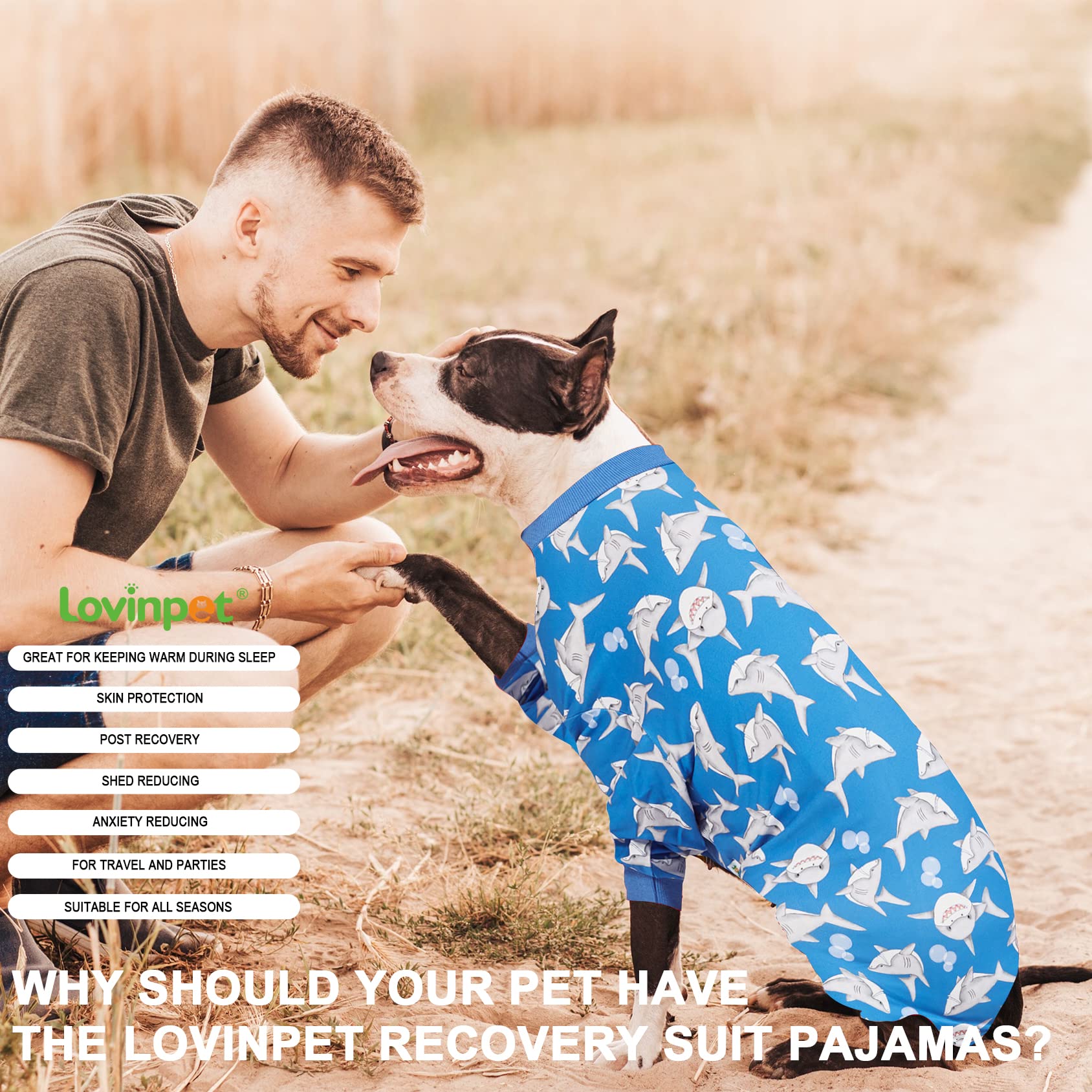 LovinPet dog pajama protects wounds and coats in daily wear.