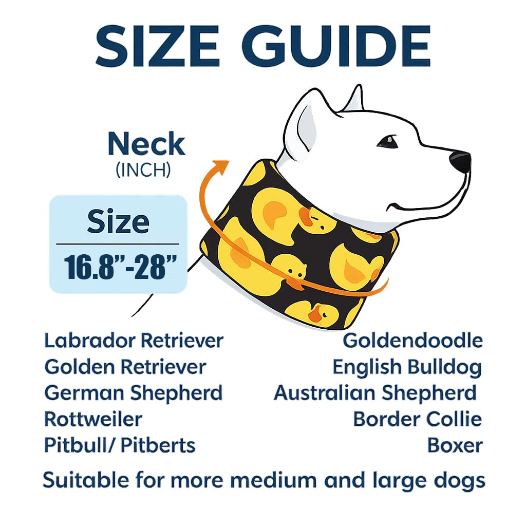 LovinPet Dog Recovery Collar adjustment strap supports a personalized, snug fit.
