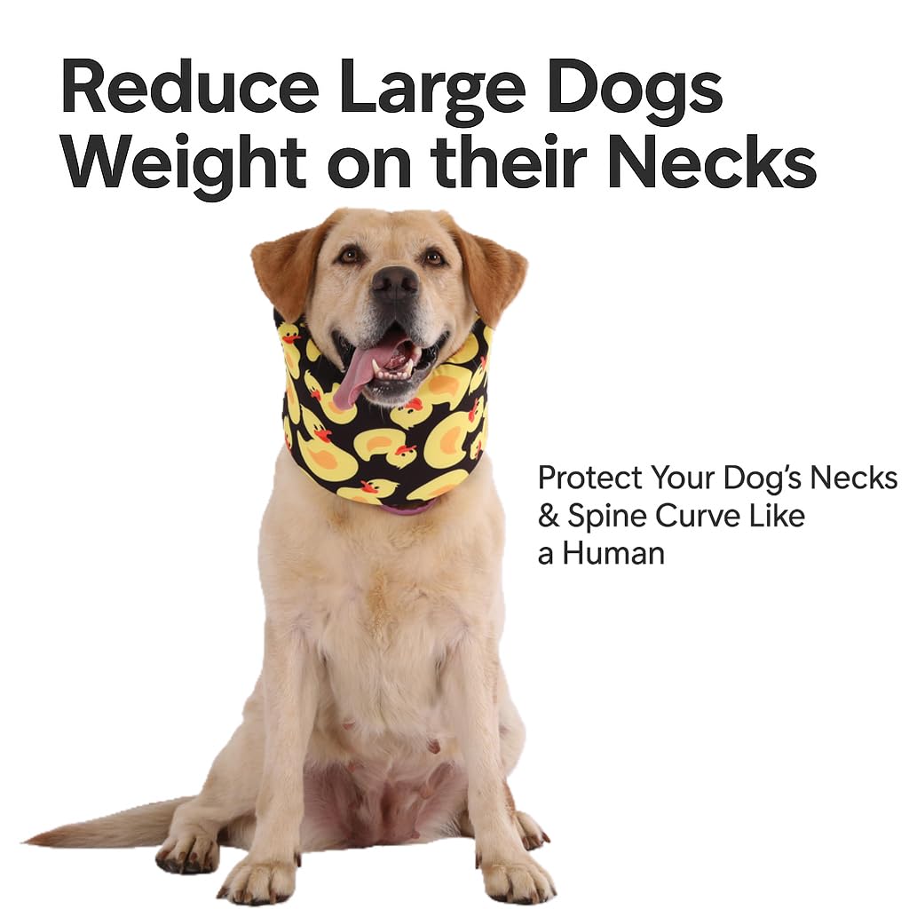 LovinPet collar memory foam benefits from air-drying for extended life.