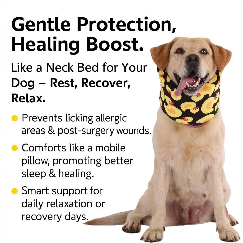 LovinPet washable design keeps collar clean for daily wear.
