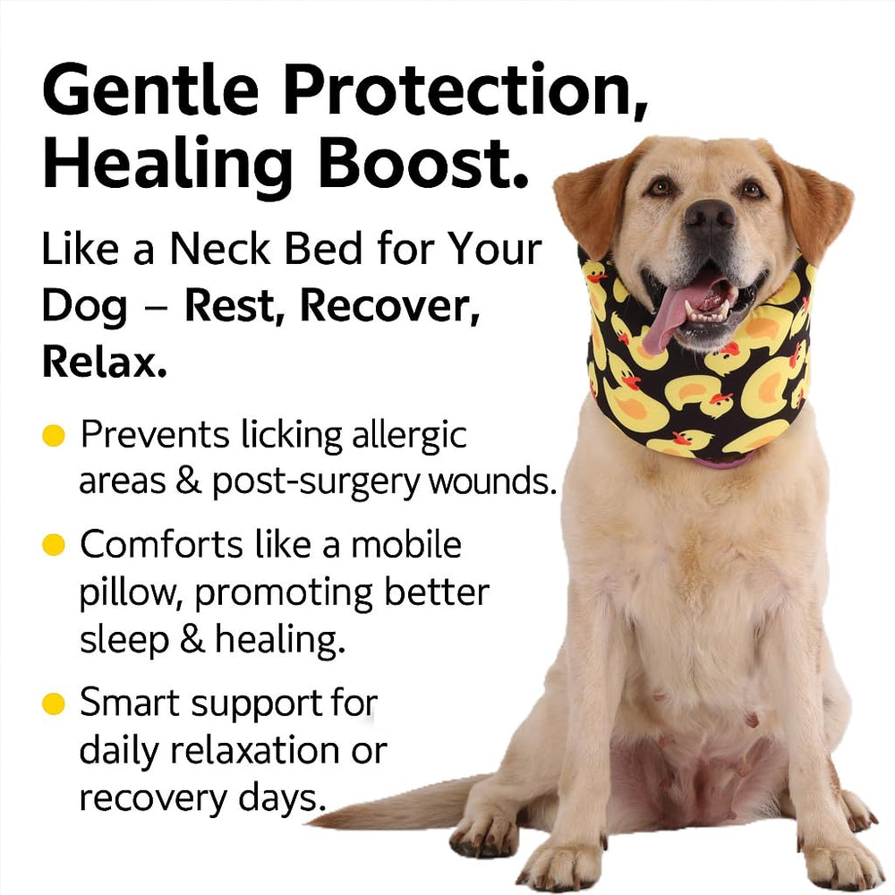 LovinPet washable design keeps collar clean for daily wear.