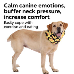 LovinPet yellow duck print collar adds cheerful design during recovery.