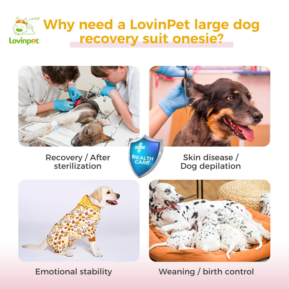 LovinPet dog recovery suit soft cotton XXL close-up shows breathable fabric.