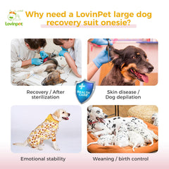 LovinPet dog recovery suit soft cotton XXL close-up shows breathable fabric.