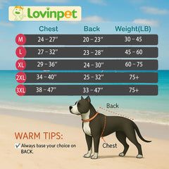 LovinPet dog recovery suit yellow XXL side view enhances mobility during healing.