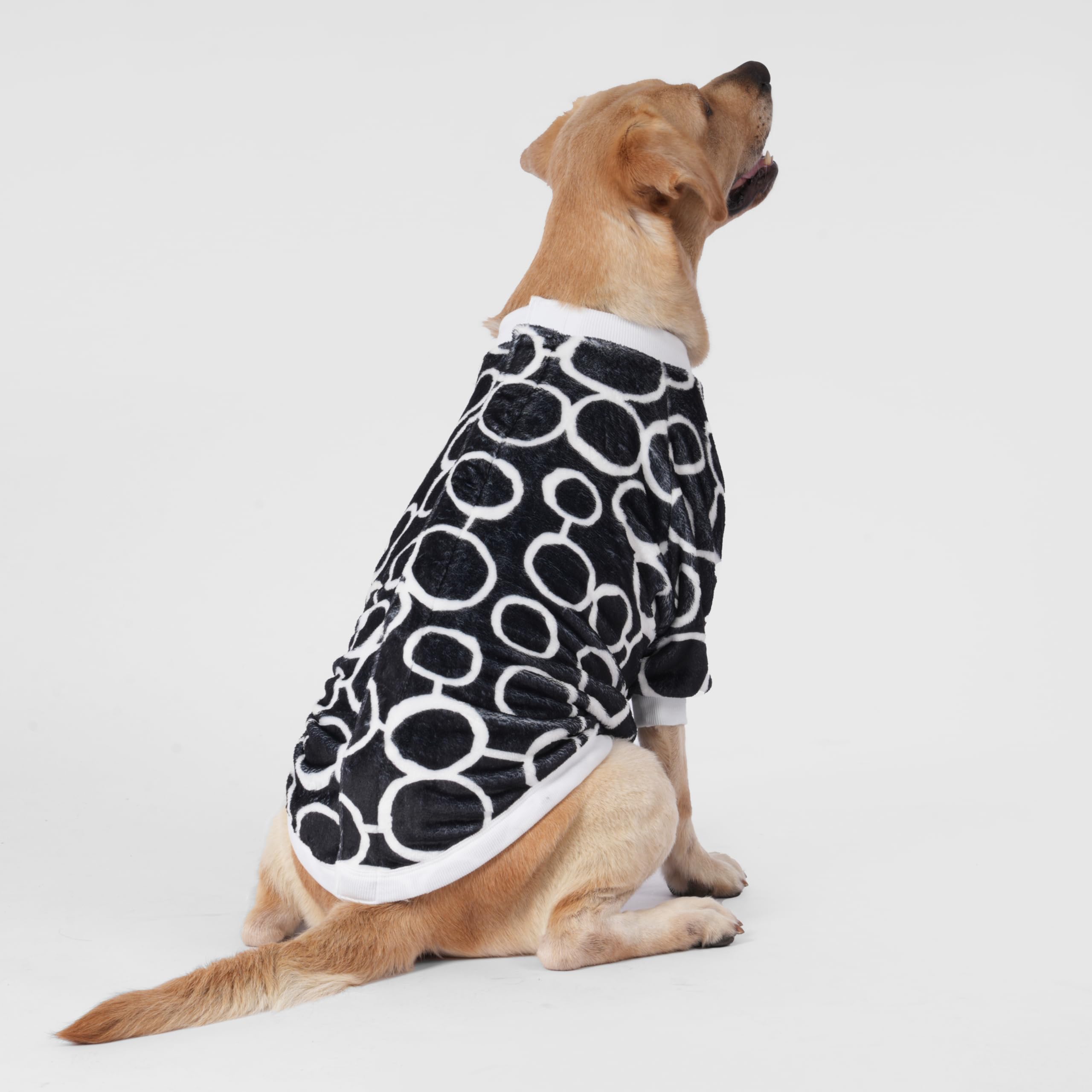 LovinPet easy-on-off closure demonstrated on a large dog for quick dressing.