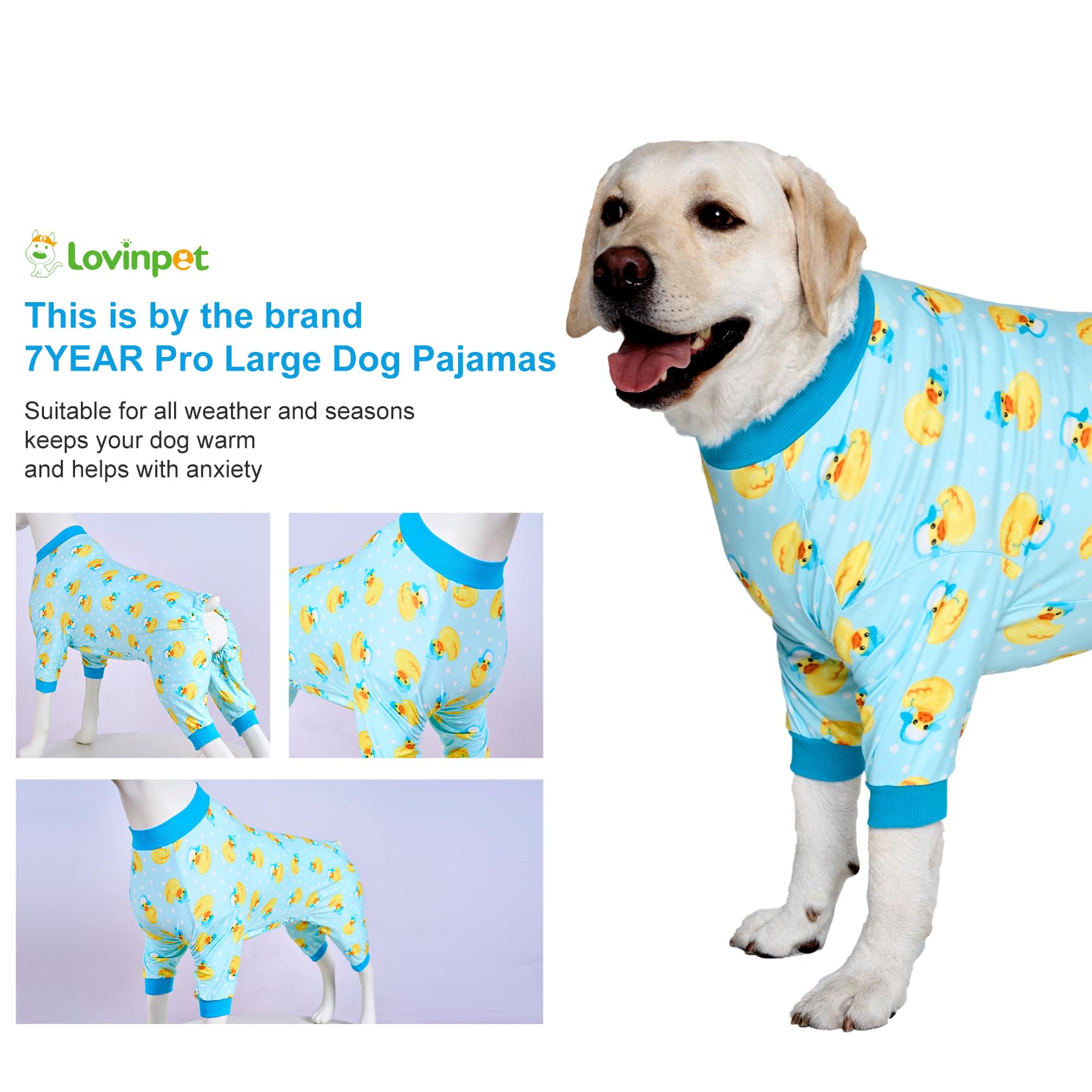 LovinPet Historia de comprador cálido y cómodo para perros mayores.