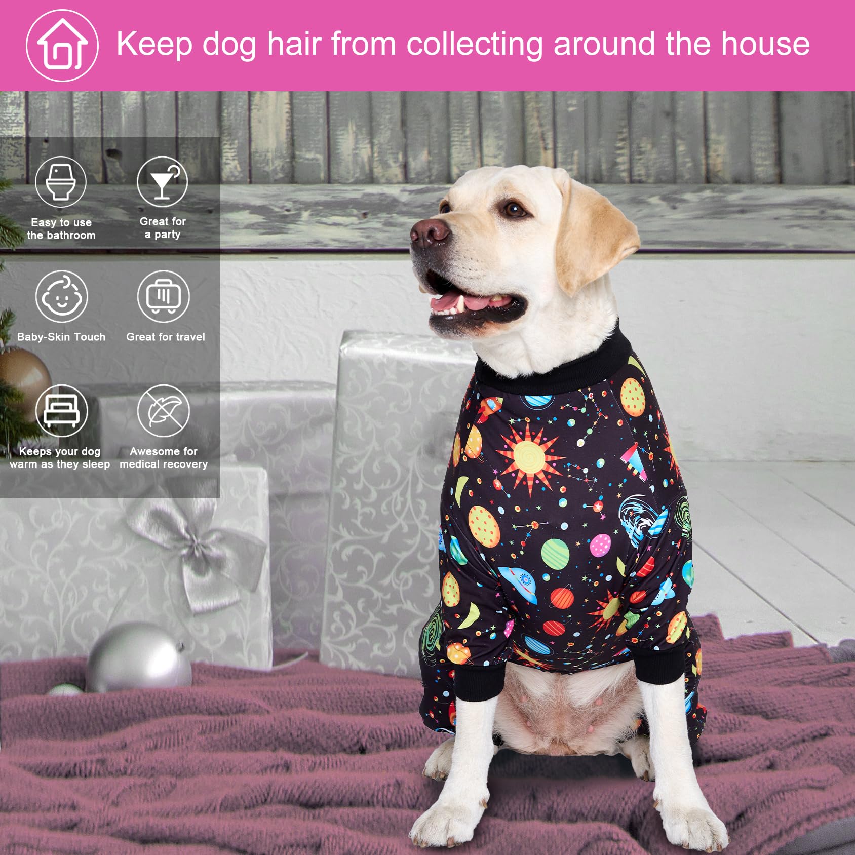 LovinPet-indoor-outdoor-dog-fashion captures playful photo-ready moments with pets.