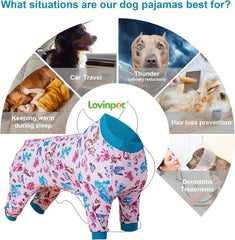 LovinPet post-surgery ready pajama on large breed with safe incision coverage