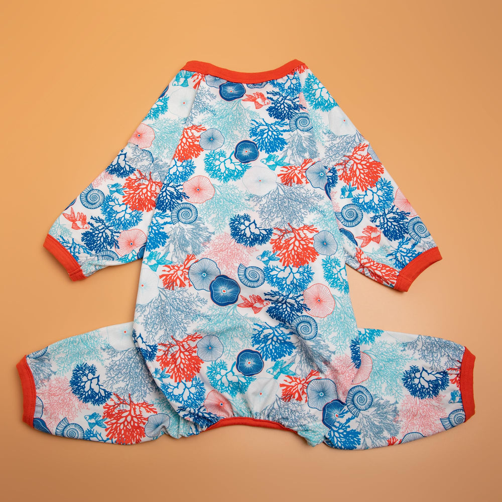 LovinPet Milo's approved fit and adorable look illustrate real-world satisfaction.