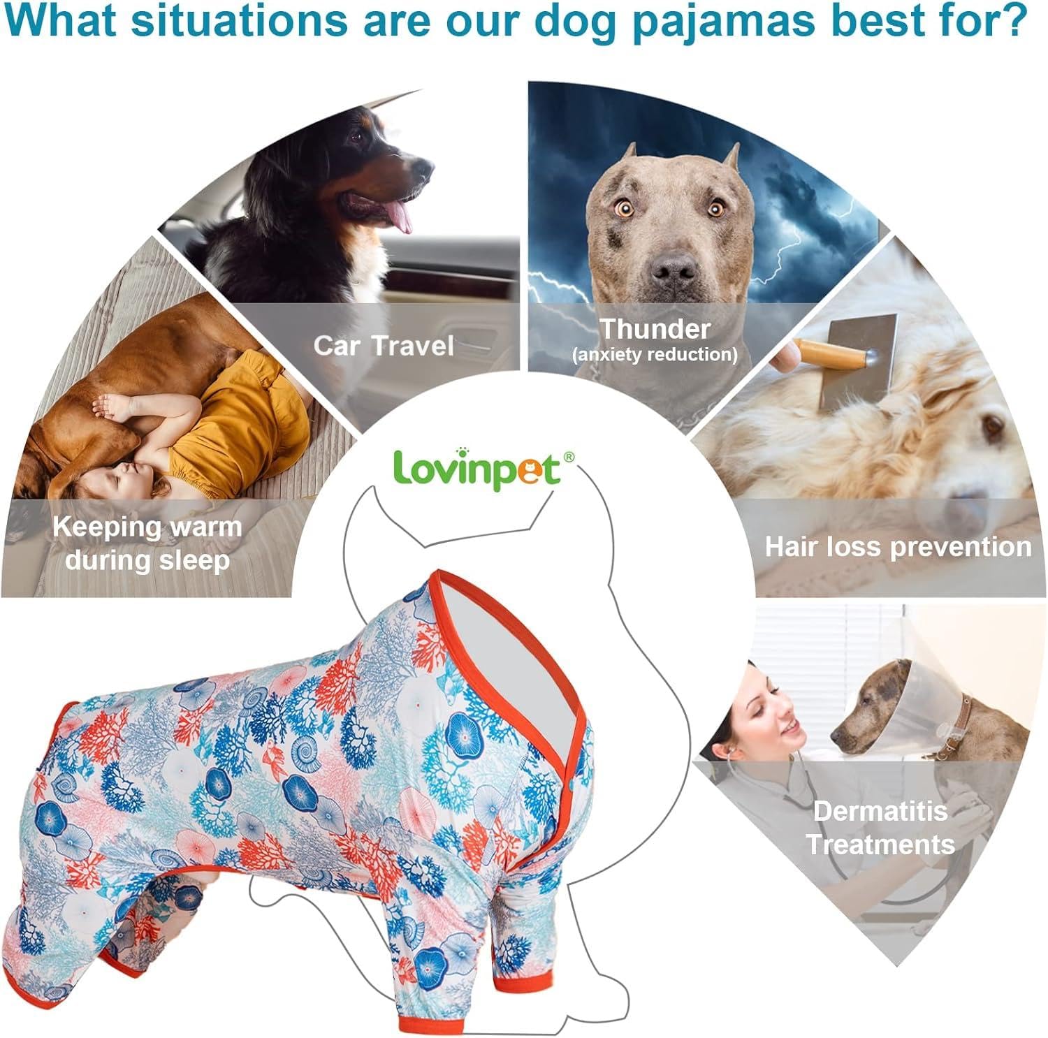 LovinPet UV protection shirt offers sun-safe outdoor wear for pets.