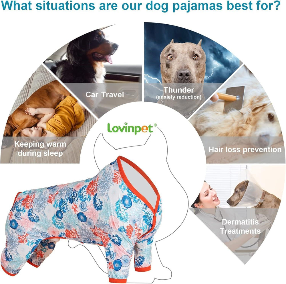 LovinPet UV protection shirt offers sun-safe outdoor wear for pets.