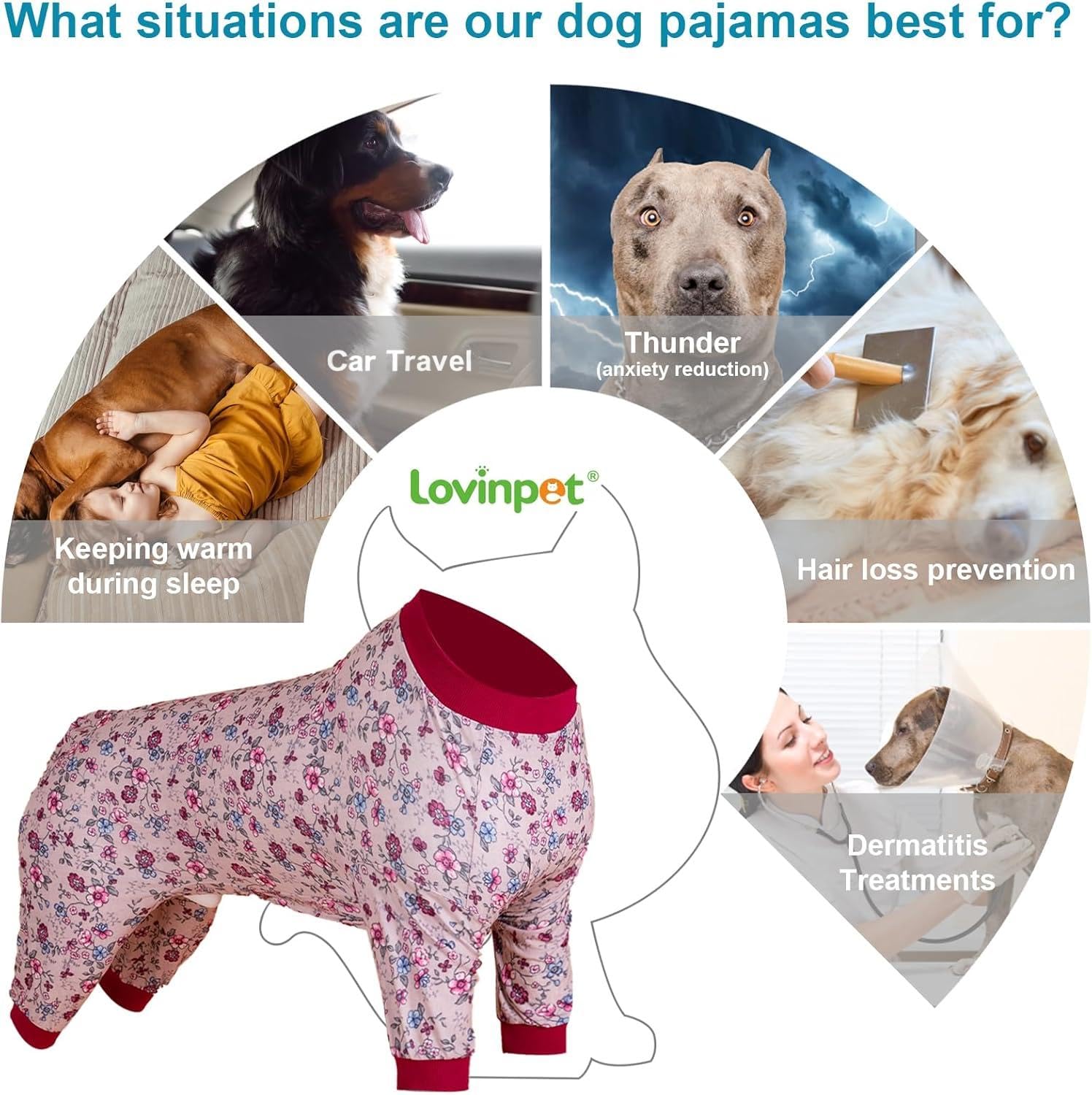 LovinPet Pittbull Pjs sun and dust protection for outdoor outings
