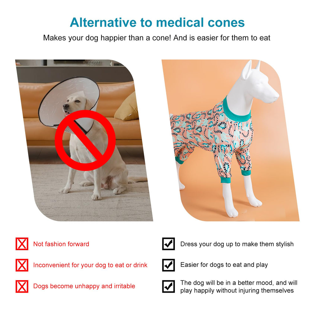 LovinPet PJS dress-ready winter look highlights stylish warmth for celebrations.
