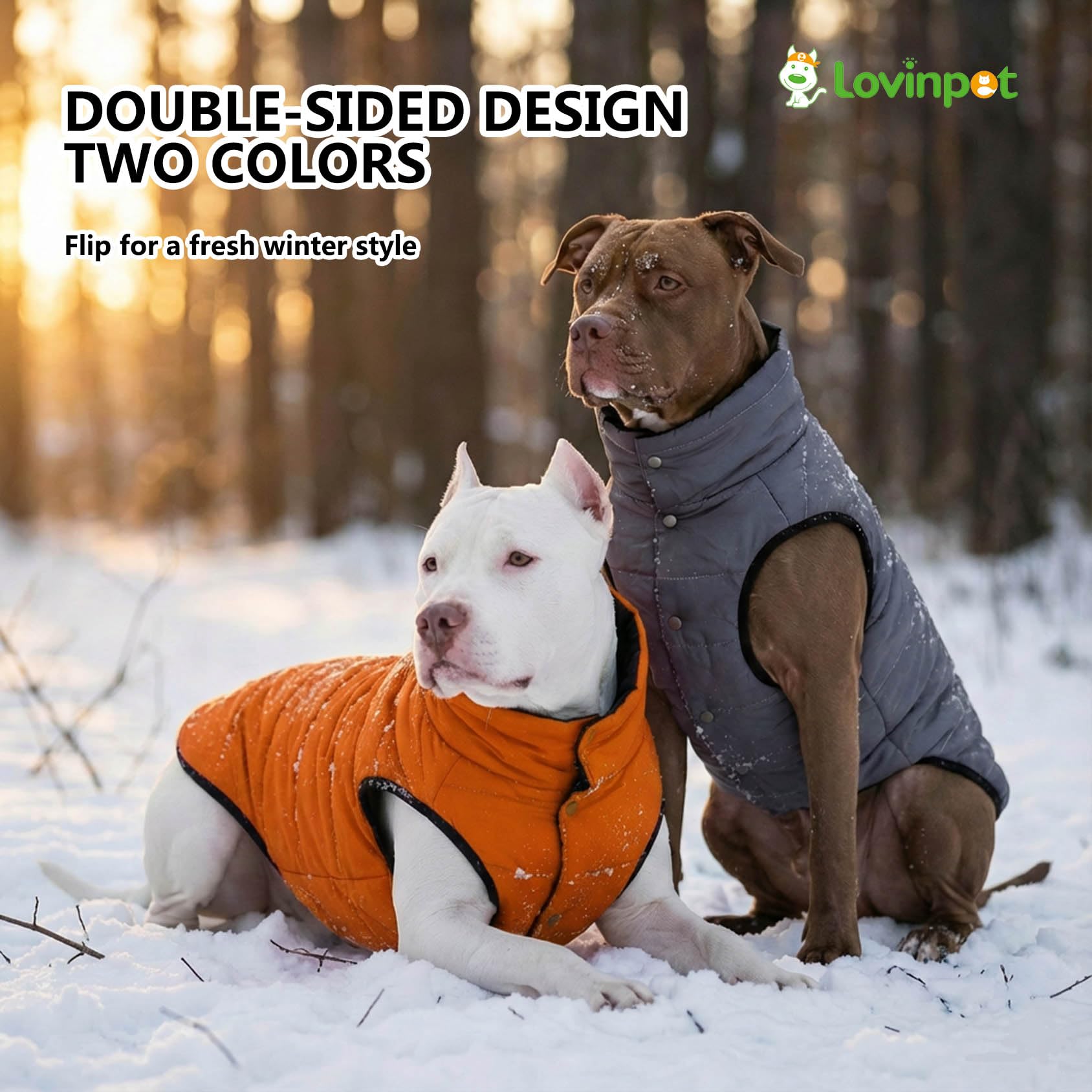 LovinPet puffer grande, ajuste delantero: evita corrientes de aire durante el paseo.