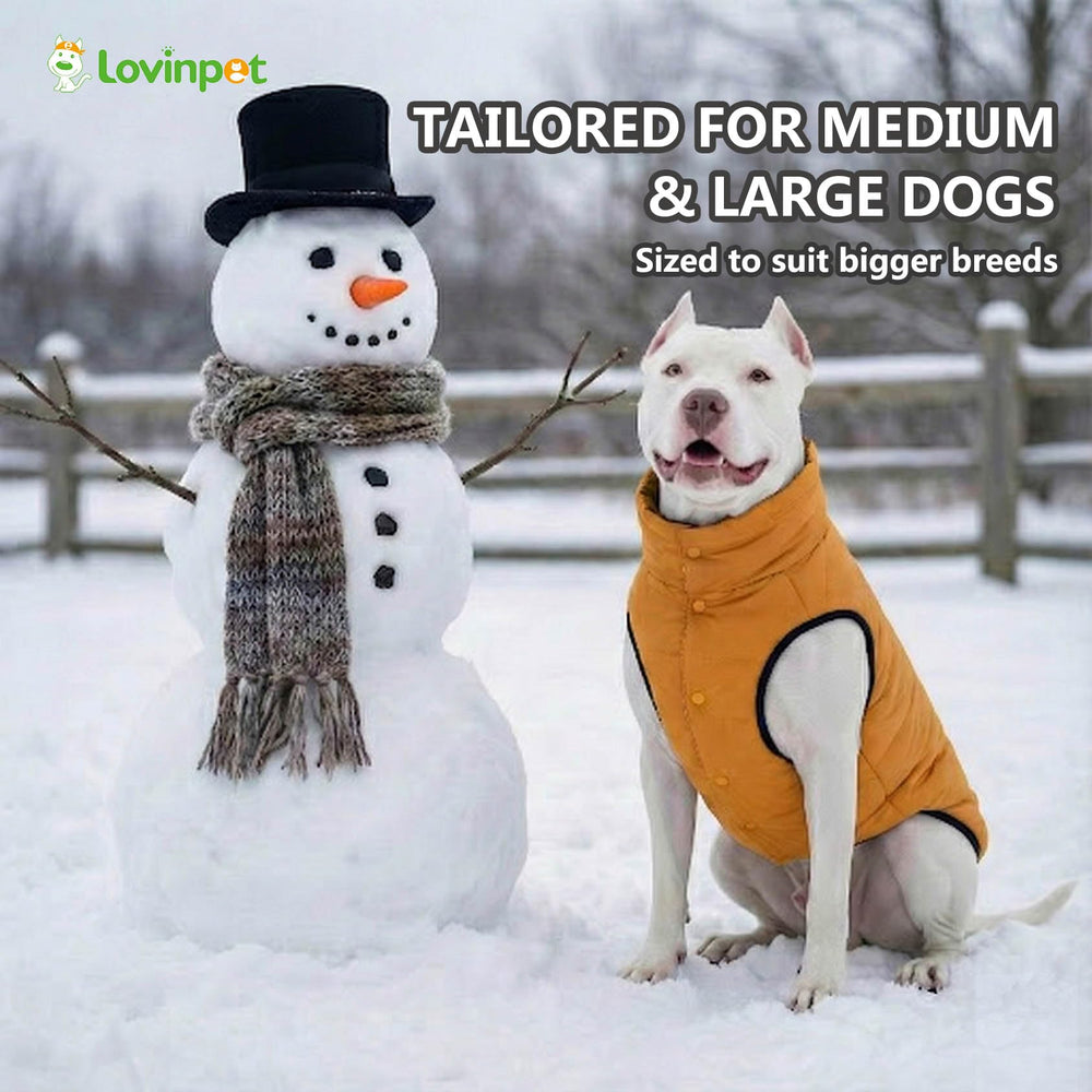 LovinPet puffer grande, protección contra lluvia ligera y viento para días impredecibles.