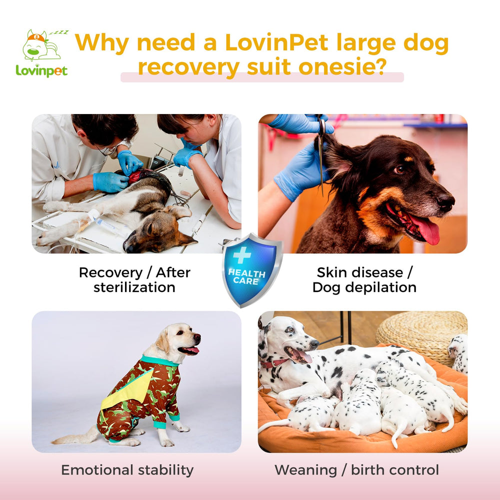 LovinPet recovery suit collar-compatible feature for flexible care.