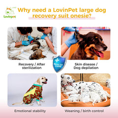 LovinPet recovery suit collar-compatible feature for flexible care.