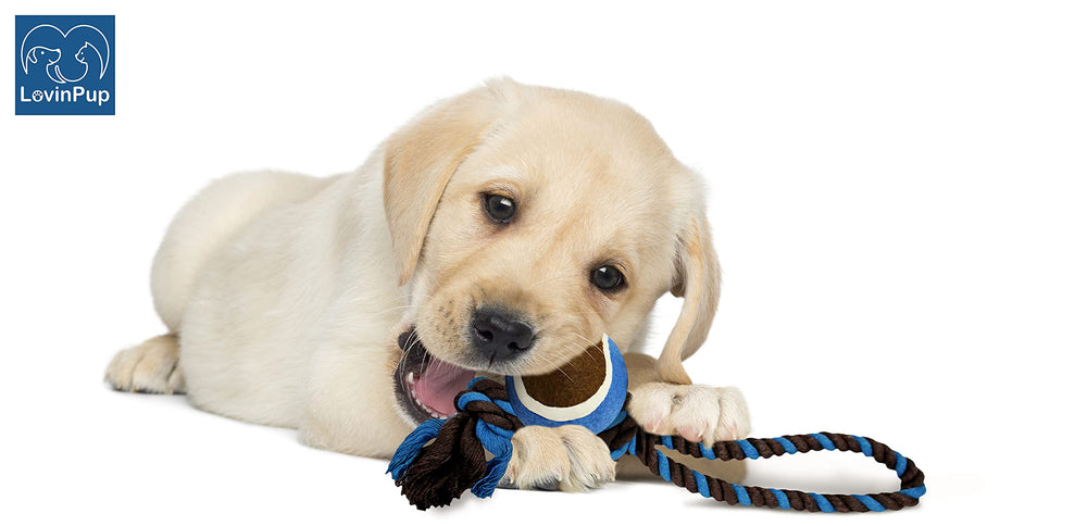 LOVINPUP lightweight nylon rope toy is easy to take on trips.