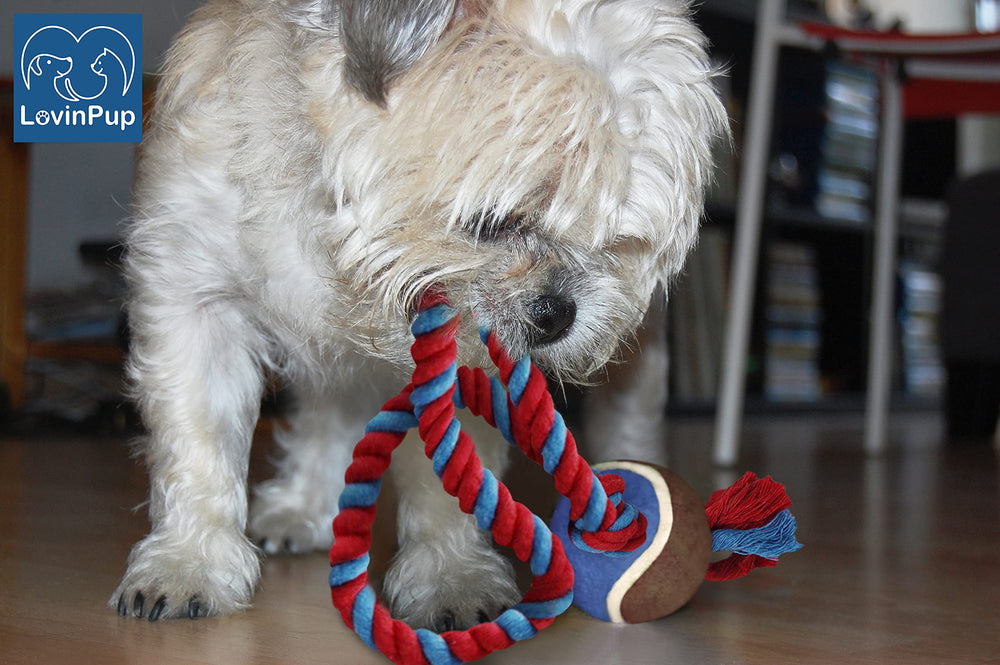 LOVINPUP rope toy loop and knot design enables tug-of-war and fetch sessions.