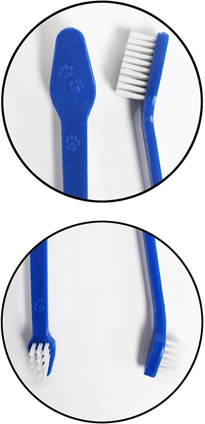 LOVINPUP durable kit withstands regular brushing with steady performance