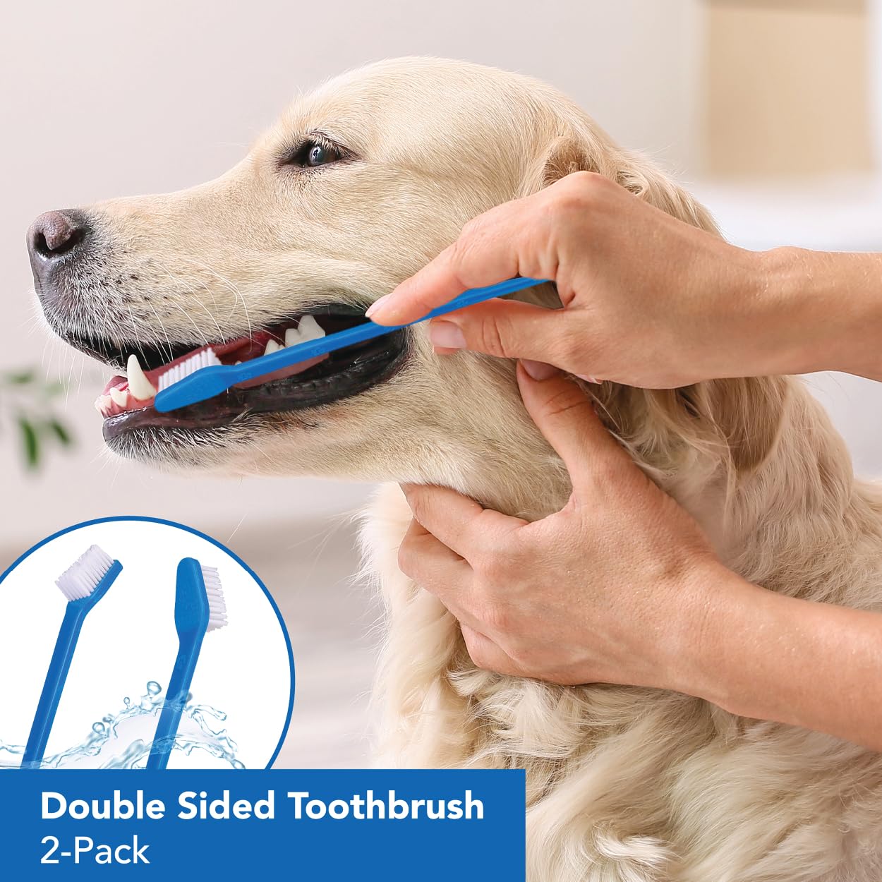 LOVINPUP soft bristles help protect gums during daily dog or cat brushing