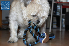 LOVINPUP tennis ball attached, safe felt designed to be gentle on teeth.