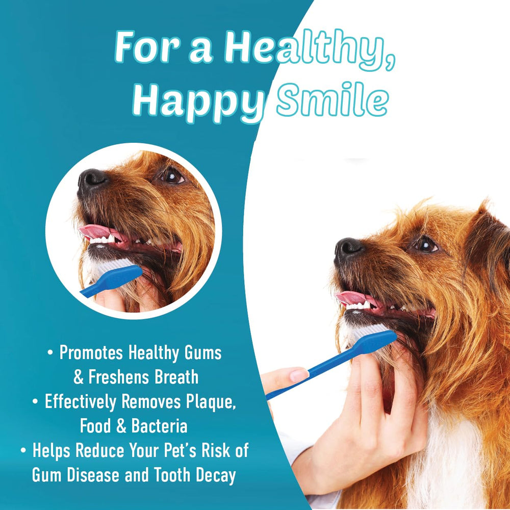 LOVINPUP two brush heads reach large and small teeth for thorough cleaning
