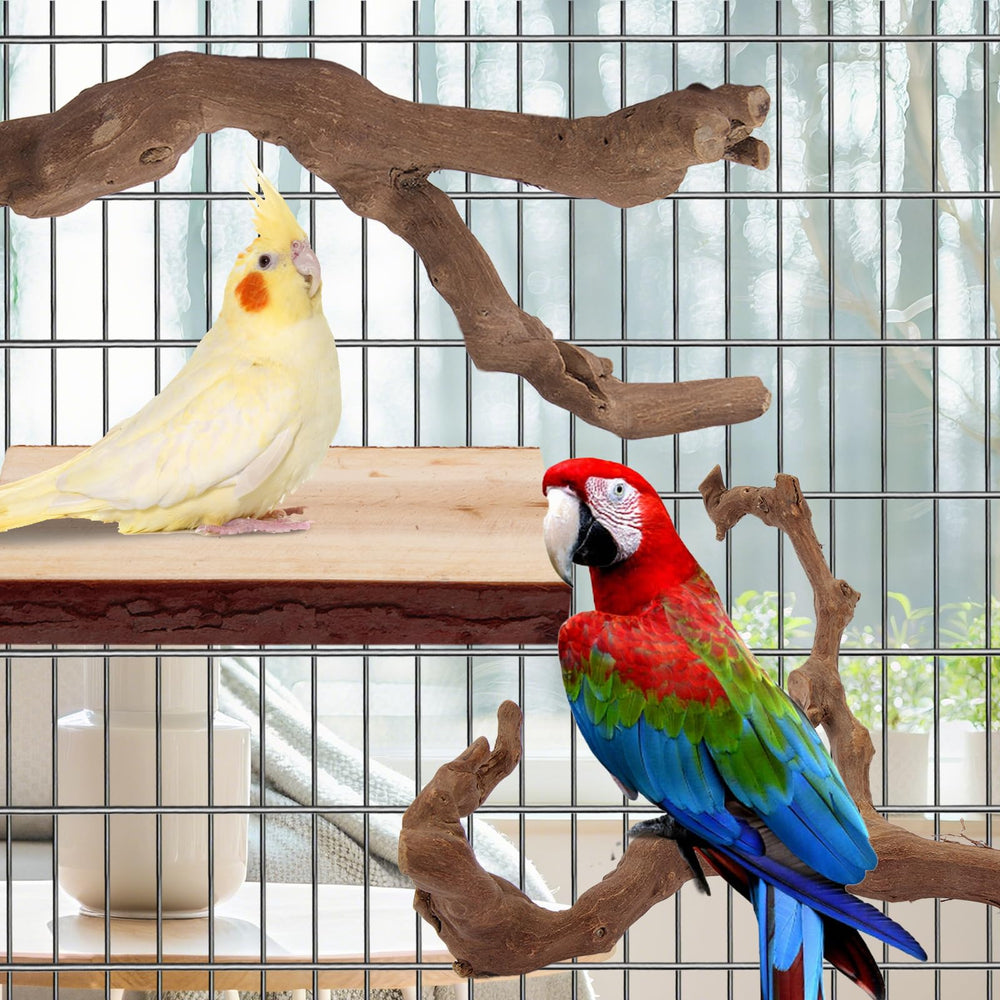 lovyoCoCo parrot perch knobbly peppercorn wood with varied grip options.