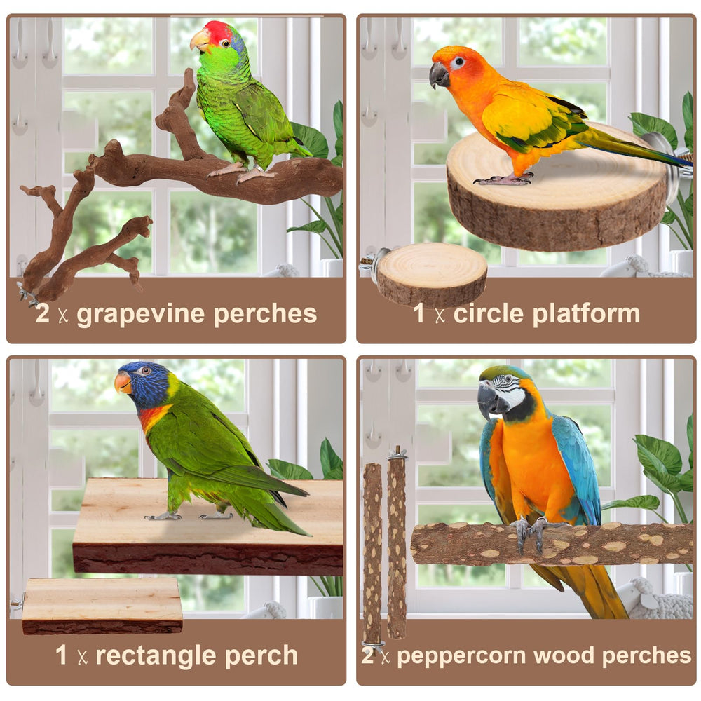 lovyoCoCo parrot perch snack-rectangle demonstrates foraging and snack access.