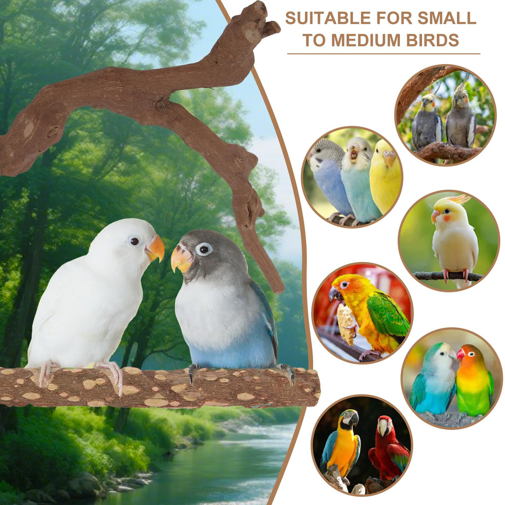 lovyoCoCo parrot perch tool-free-setup illustrates easy installation.