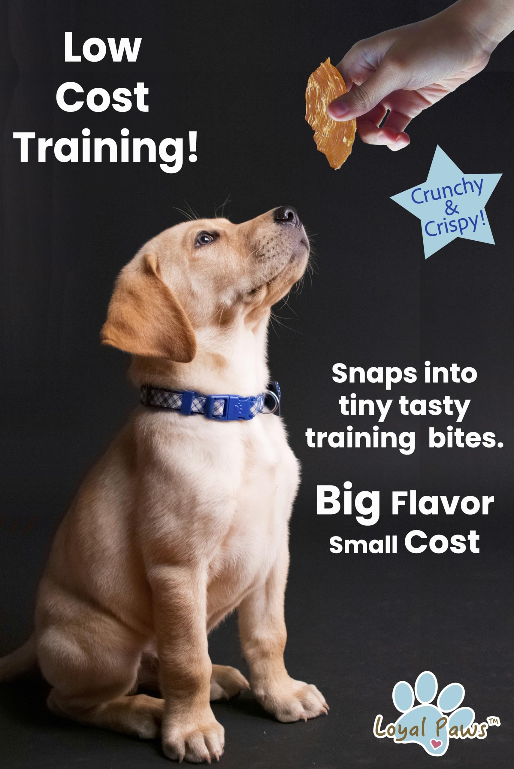 Loyal Paws Chicken Strips gluten free badge signals grain free snack option.