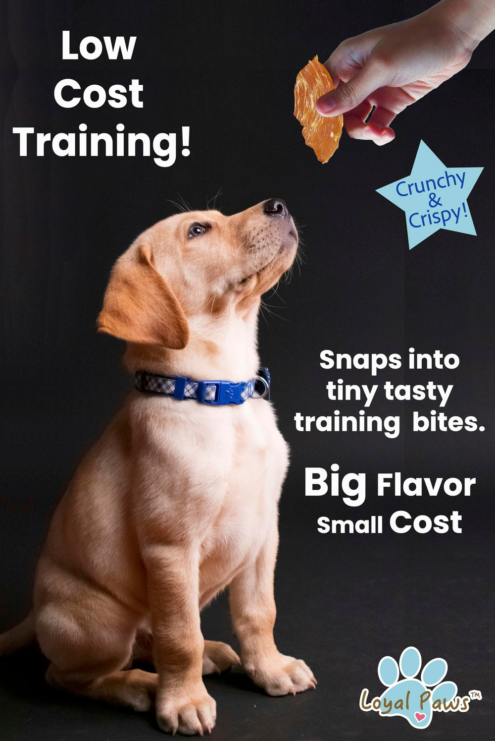 Loyal Paws Chicken Strips gluten free badge signals grain free snack option.