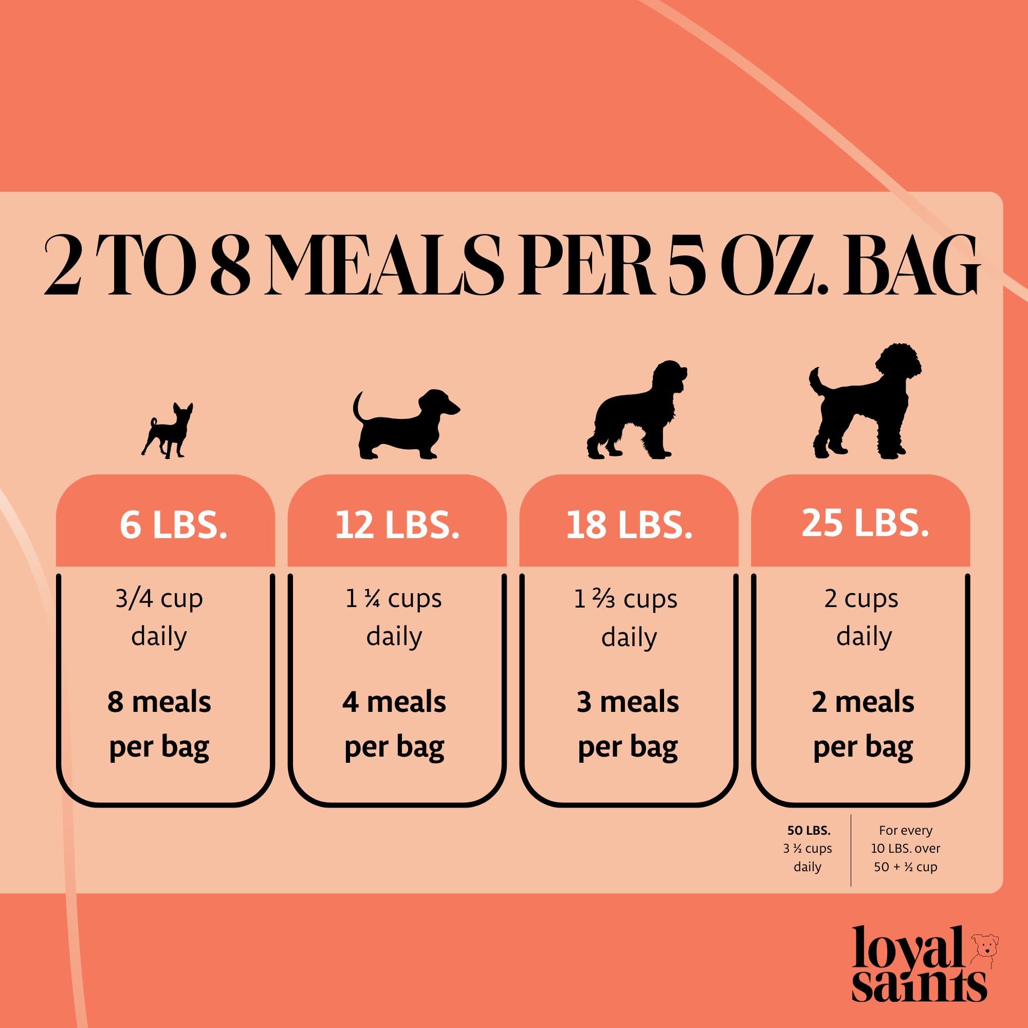 Loyal Saints freeze-dried raw dog food bag for convenient serving