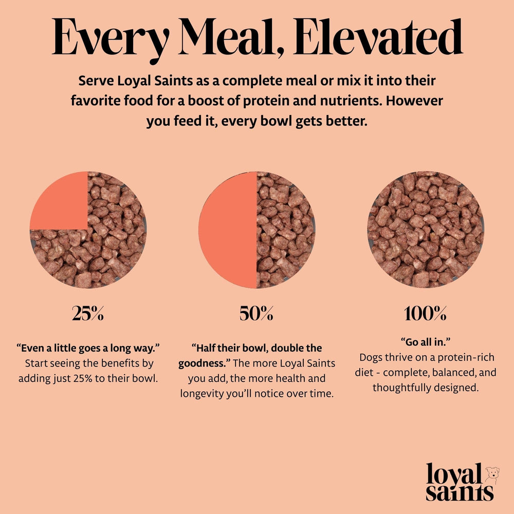 Loyal Saints grain-free recipe ideal for sensitive tummies