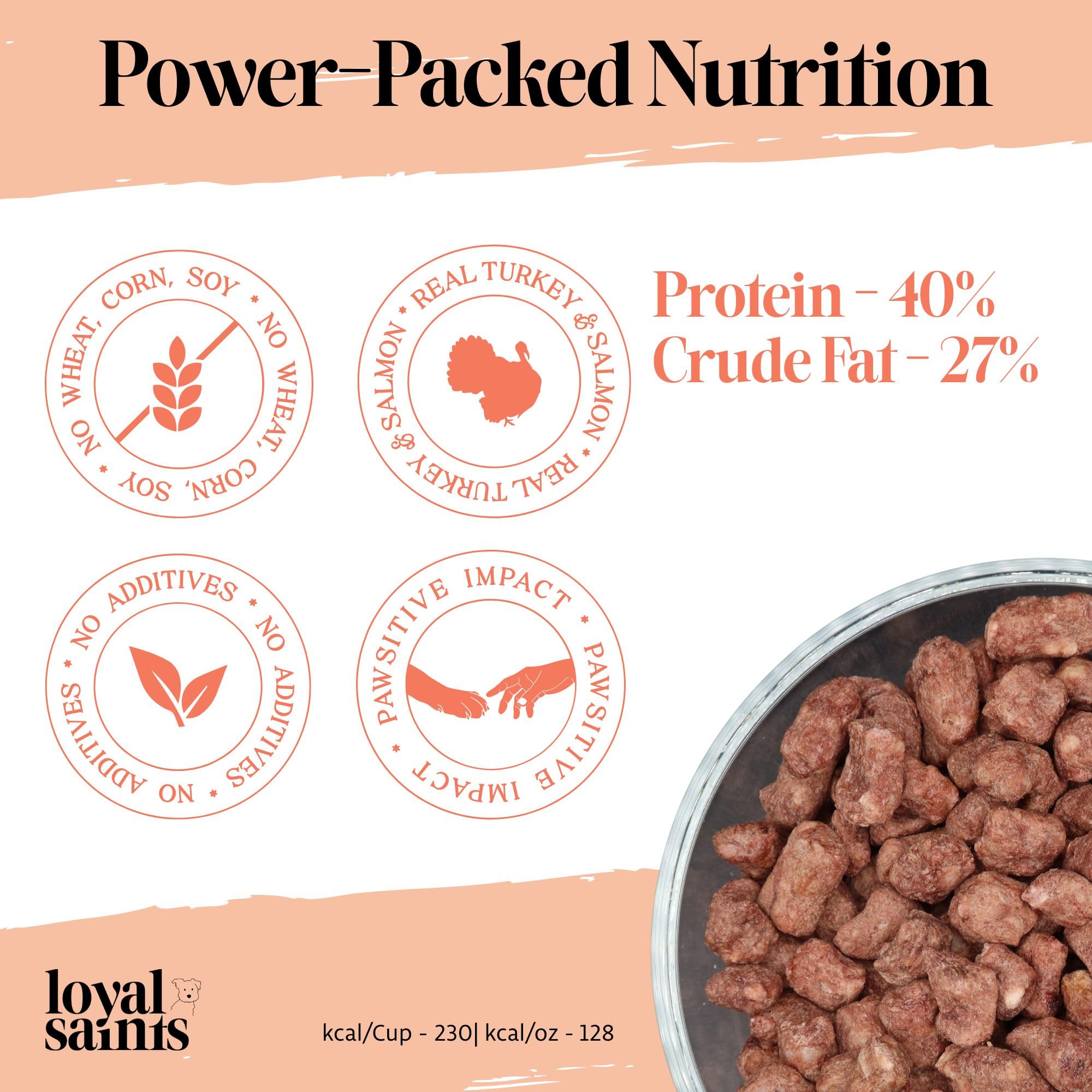 Loyal Saints high-protein formula designed for efficient nutrient absorption