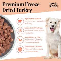 Loyal Saints organic fruits and vegetables highlight natural nutrition