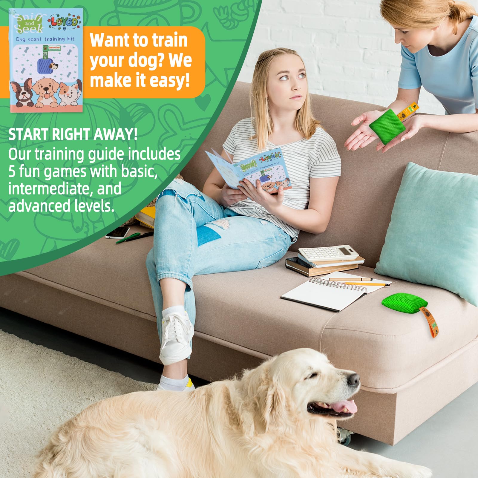LOYGD dog enjoying nosework activity strengthening bond through calm exploration.