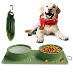 LPFLASAT collapsible dog bowl setup highlights compact travel design for on-the-go pet meals.