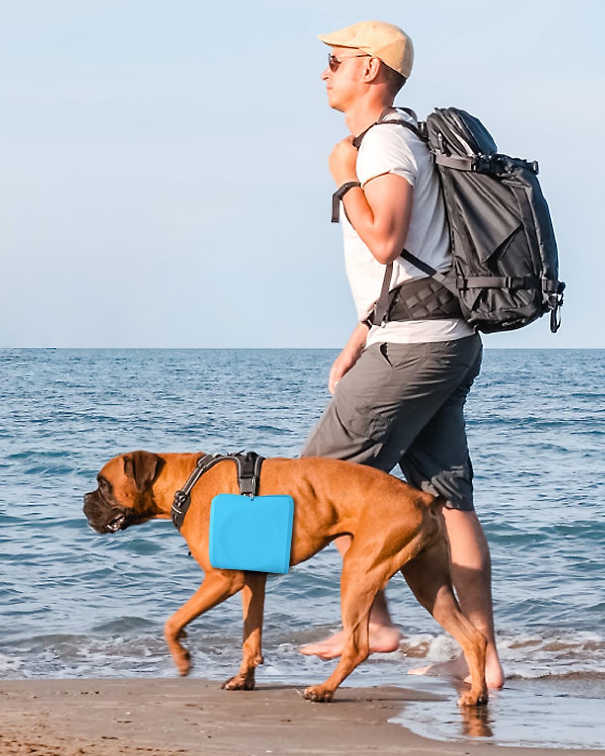 LPFLASAT compact travel dog bowl blue fits in backpacks
