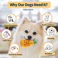 LPHSNR hollow-for-treats chew toy — great for peanut butter or small treats