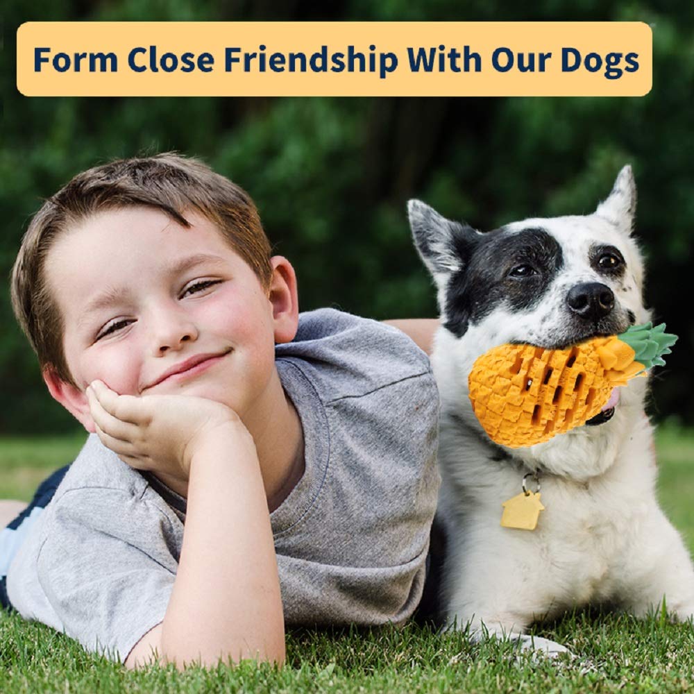 LPHSNR multi-use toy — ideal for teething, crate time, training, and fetch sessions