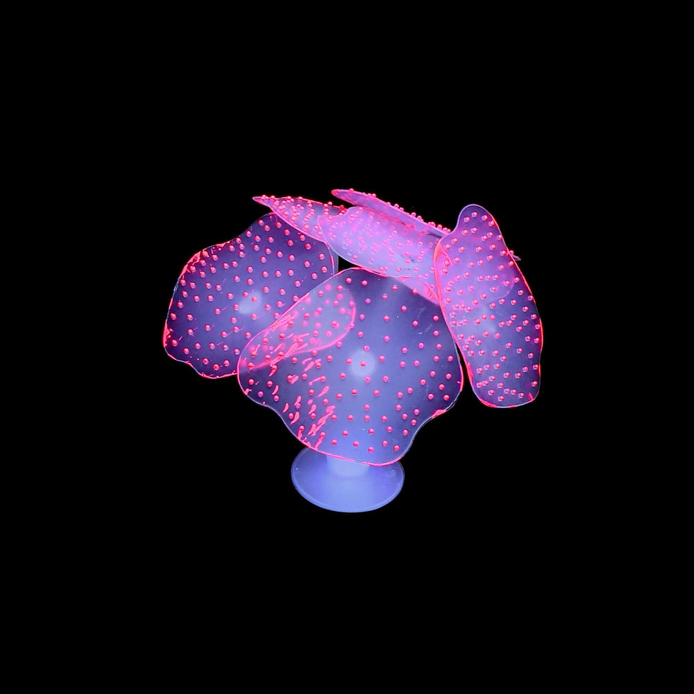 Lpraer Blue-light glow effect reveals dramatic shimmer under UV or blue lighting.