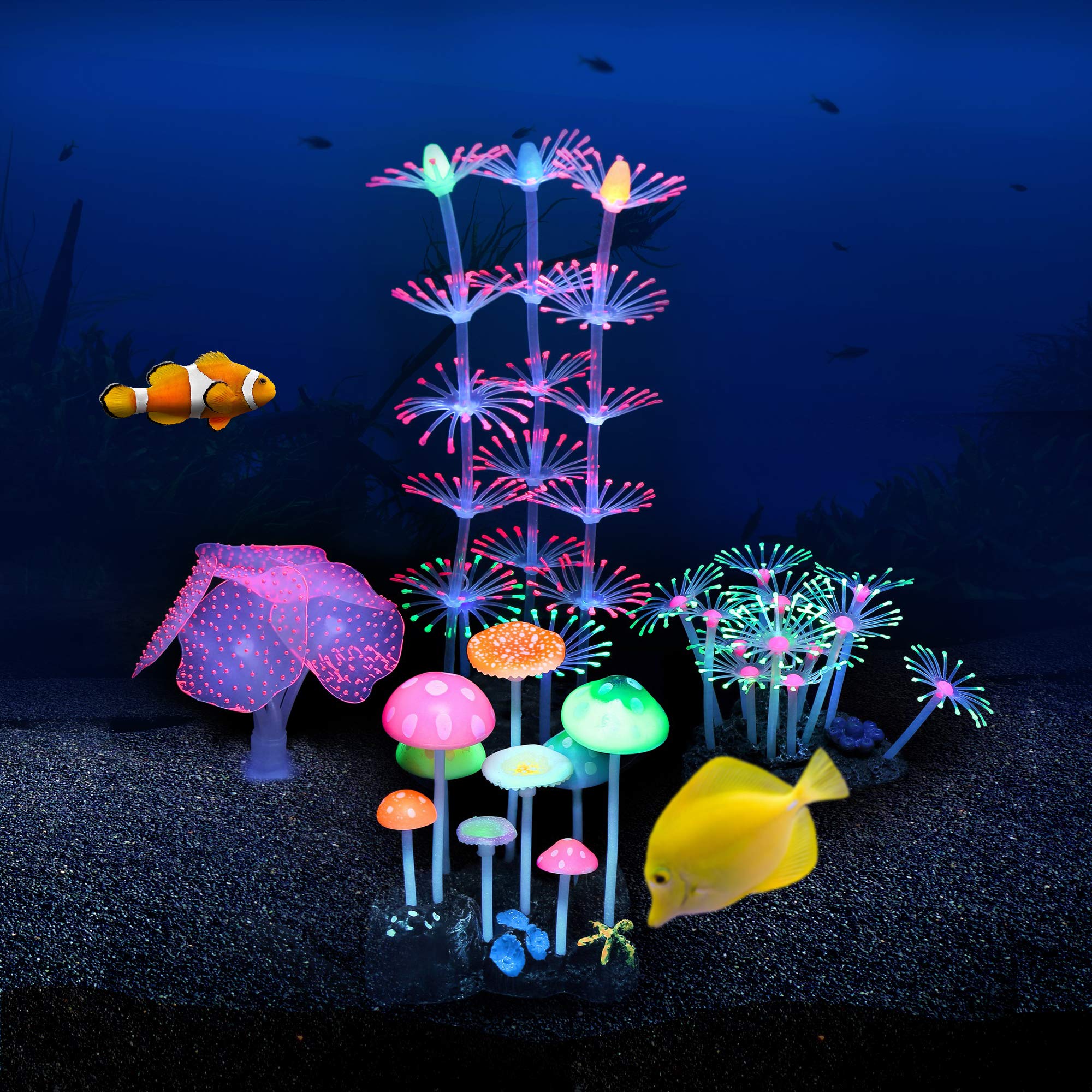 Lpraer Non-toxic silicone-resin decor ensures safe viewing in freshwater and saltwater.