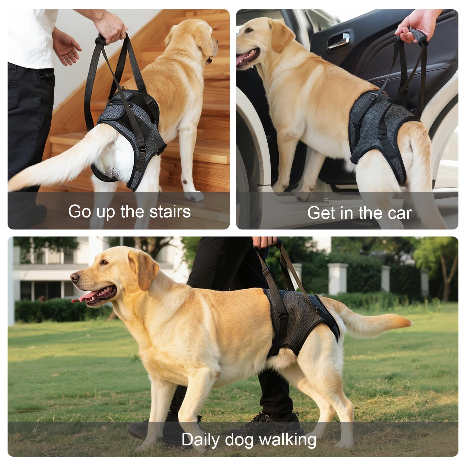 Lqyom dog sling supports adjustable straps for a customized fit